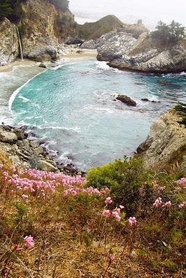 Read A Romantic Secret Cove Nature Journal: 150 Page Lined Notebook/Diary -  file in PDF