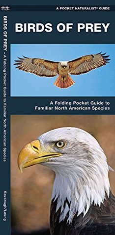 Download Birds of Prey: A Folding Pocket Guide to Familiar North American Species (A Pocket Naturalist Guide) - James Kavanagh file in ePub