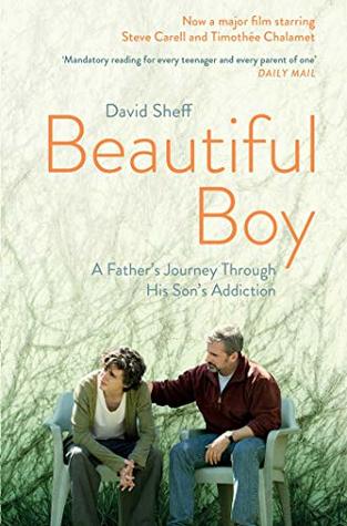 Read Online Beautiful Boy: A Father's Journey Through His Son's Addiction - David Sheff file in ePub