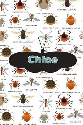 Download Chloe: Bug Insect Draw and Write Journal Notebook 120 Pages 6x9 -  file in PDF