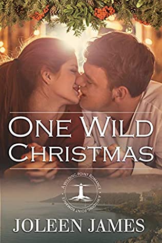 Read Online One Wild Christmas (A Wilding Point Romance Book 4) - Joleen James | PDF